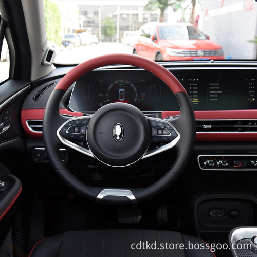 China Popular Brand Ora New Energy Mulan Versi